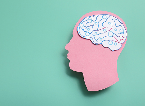 Psychological, Neuropsychological, and Forensic Evaluations